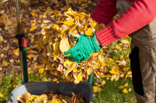 Professional garden clearance service in Marylebone